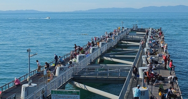 大阪・和歌山の県境にある「とっとパーク小島」