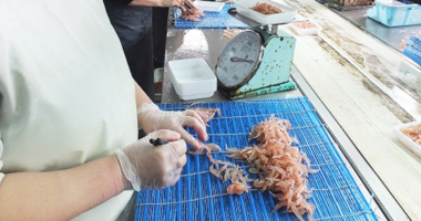 浜市の釣り餌